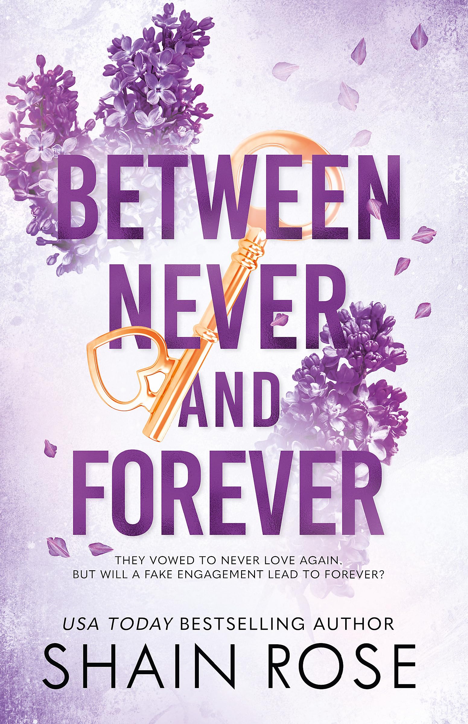 Front cover of the book 'BETWEEN NEVER AND FOREVER: a dark romance from the Tiktok sensation and #1 bestselling author (Hardy Billionaires series' by Rose, Shain.