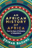 An African History of Africa: From the Dawn of Humanity to Independence NYBooksHub