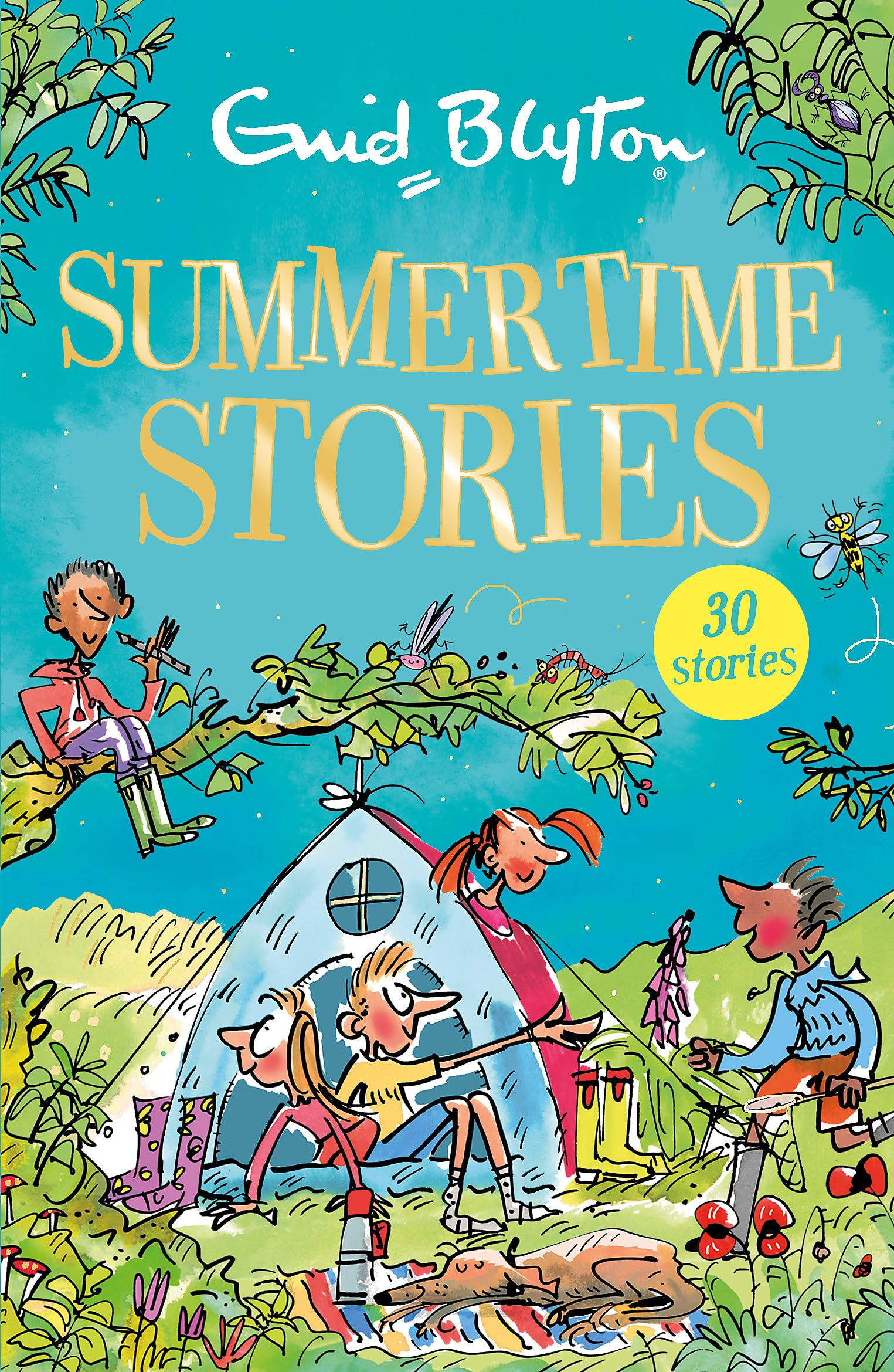 Front cover of the book 'Summertime Stories' by Enid Blyton.