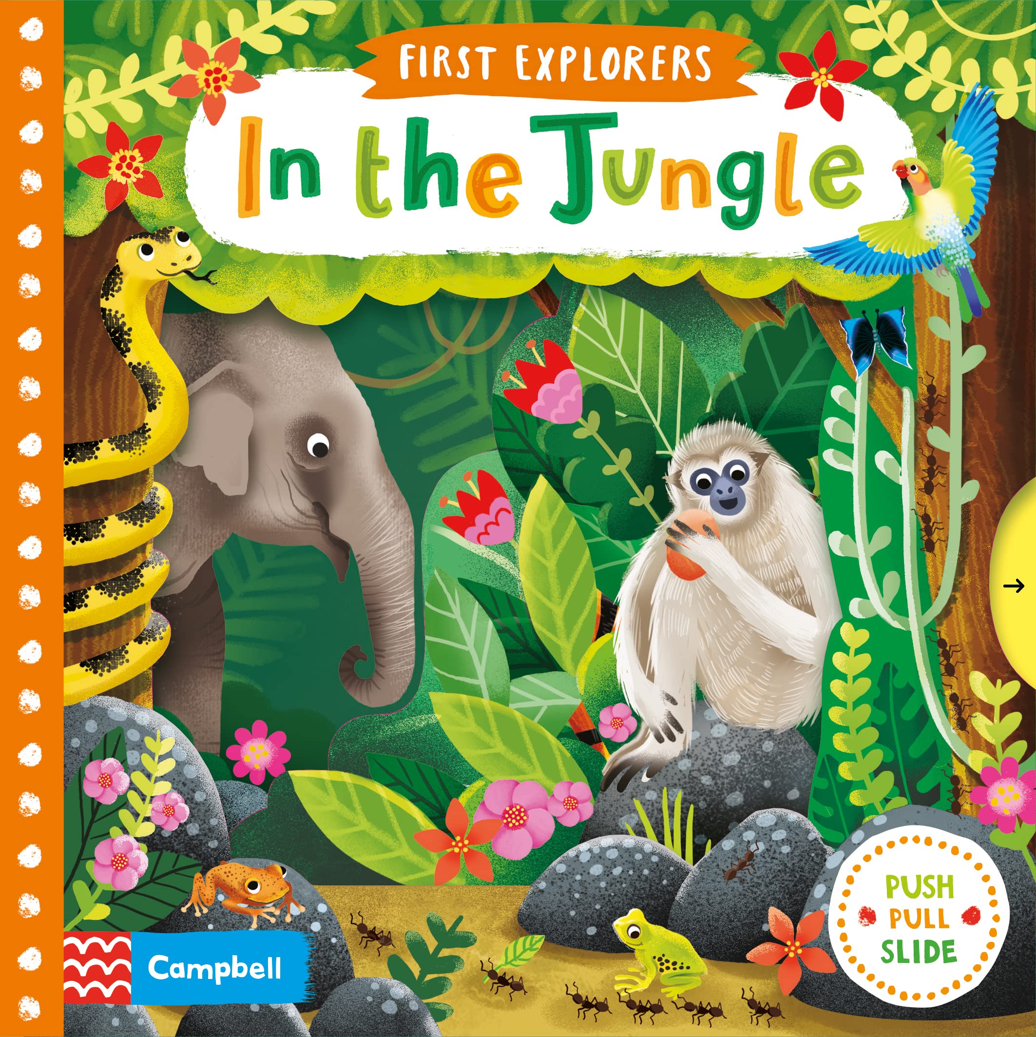 Front cover of the book 'In the Jungle (First Explorers)' by Jenny Wren.