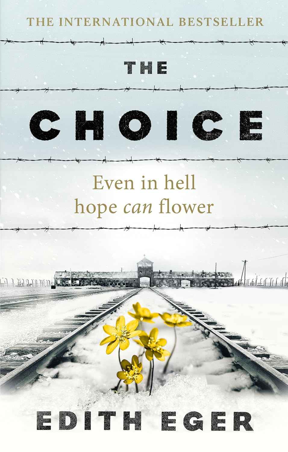 The Choice: A true story of hope [Paperback] Ð  by Edith Eger