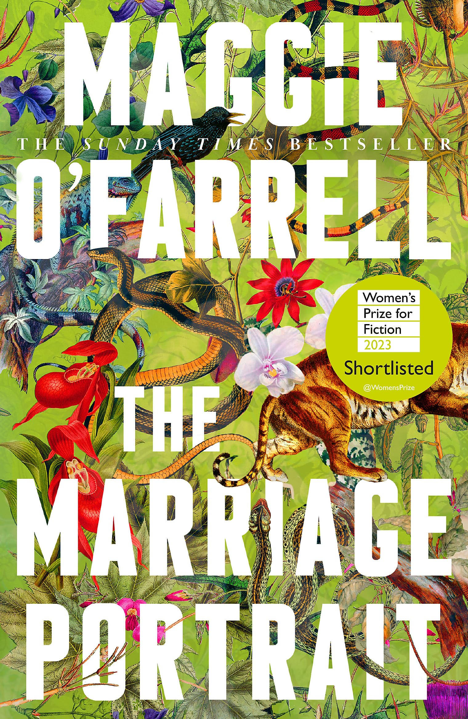 Front cover of the book 'The marriage portrait' by Maggie OFarrell.