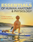 Essentials of Human Anatomy and Physiology 12th Edition by Suzanne Keller ISBN 9780134395326 Paperback bookcover – Nybookshub