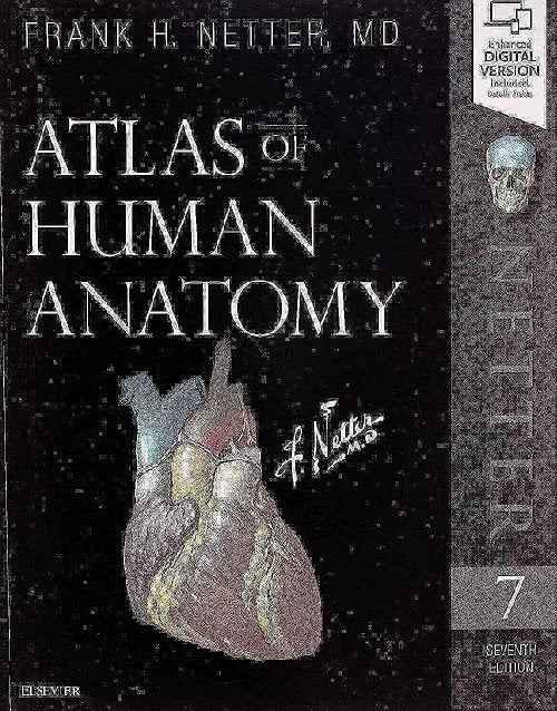 Atlas of Human Anatomy Netter Basic Science 7th Edition | 9780323393225 | Paperback