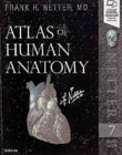 Atlas of Human Anatomy Netter Basic Science 7th Edition | 9780323393225 | Paperback