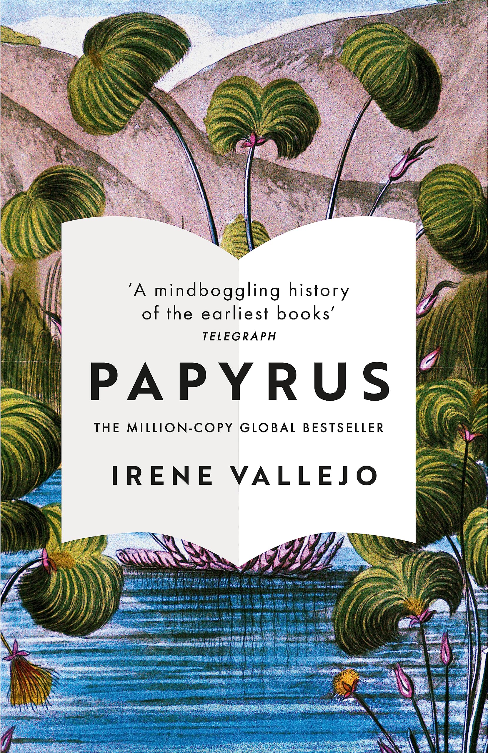 Front cover of the Paperback book 'Hodder Paperbacks Papyrus.' by Irene Vallejo.