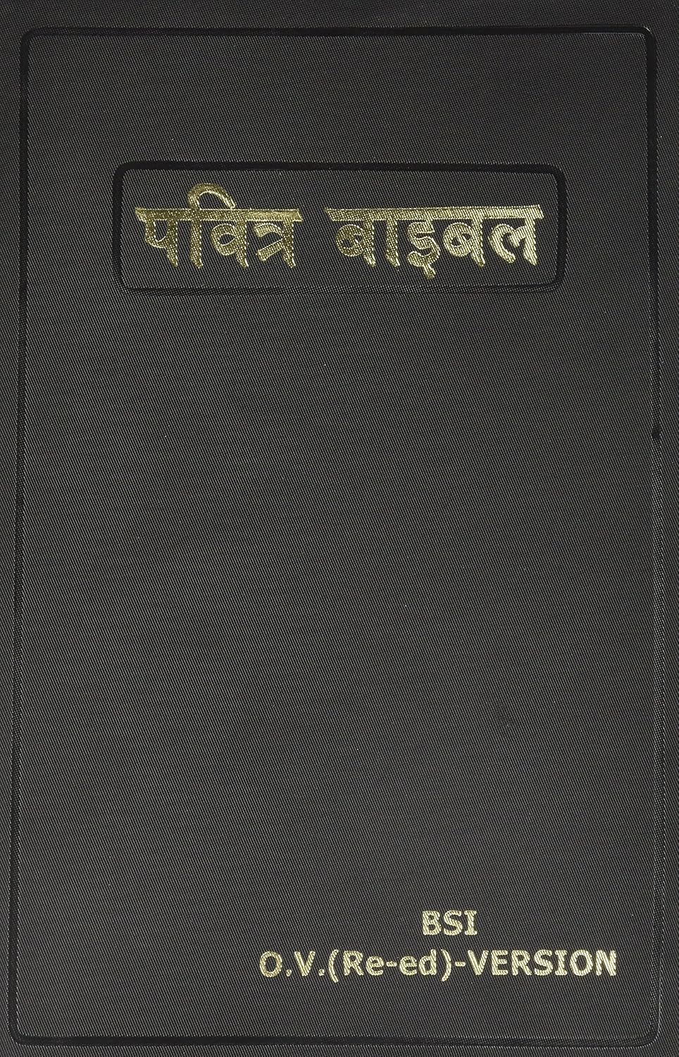 Hindi Bible (Hindi Edition) NYBooksHub