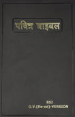 Hindi Bible (Hindi Edition) NYBooksHub