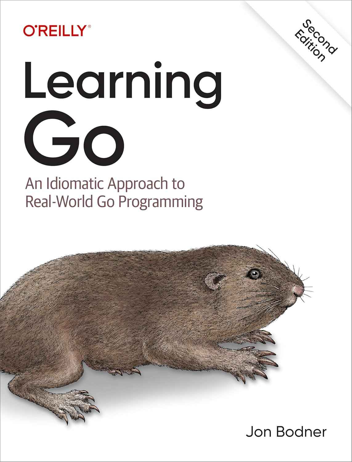 Learning Go: an Idiomatic Approach to Real-World Go Programming 2ed 9781098139292