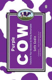 Purple Cow PaperbackÐ  by Seth Godin (Author)