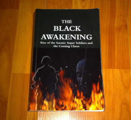 The Black Awakening:- paperback image 1