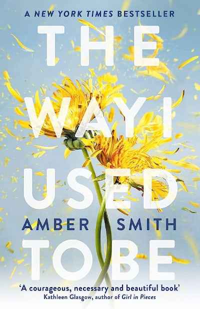 The Way I Used To Be: TikTok made me buy it! PaperbackÐ  by Amber Smith